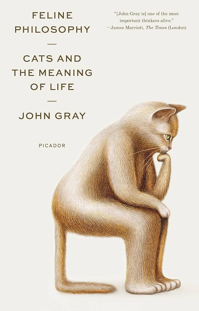 Cover of Feline Philosophy by John Gray